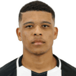 Vinícius Lopes da Silva