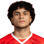 Gabriel Silva Vieira