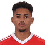 da Conceição Ribeiro