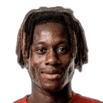 Yepie Dorgeles Guy-Mario Bocha