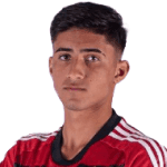 Henrique Bernardineli Gomes