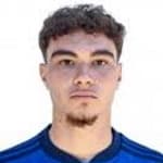 Arthur Rodrigues Viana