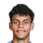 M. Shenawy
